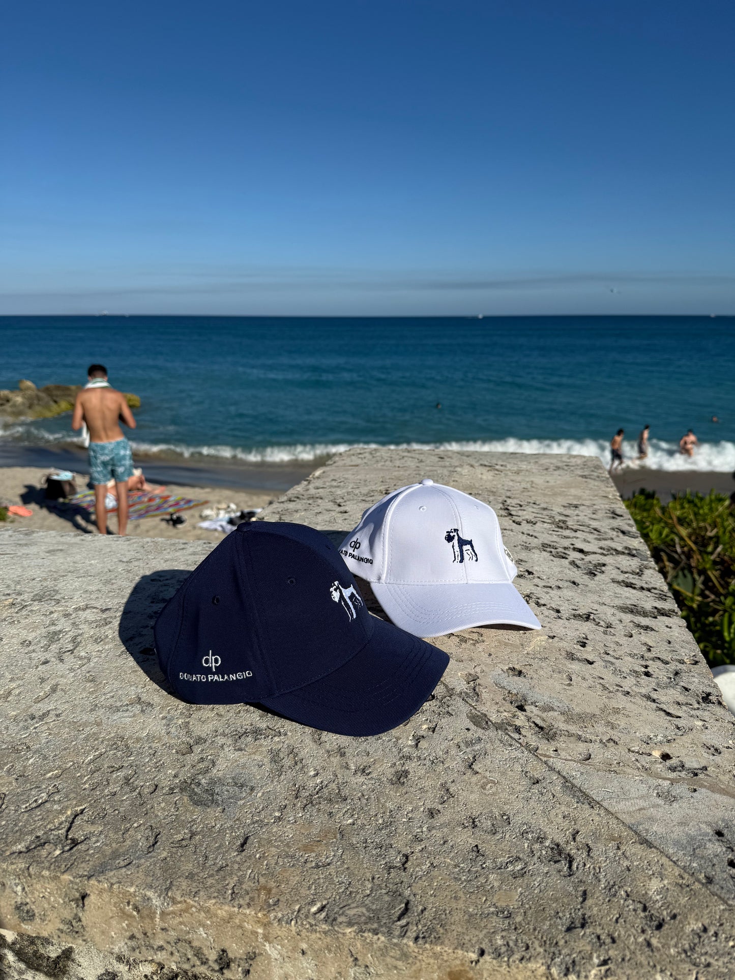 DONATO PALANGIO® Heritage Cap | Wellington